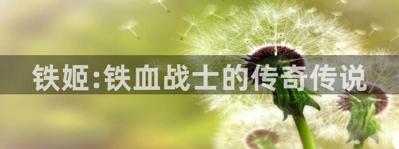 喵趣漫画用不了