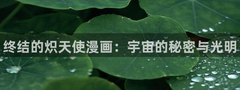 喵趣漫画2026最新版本