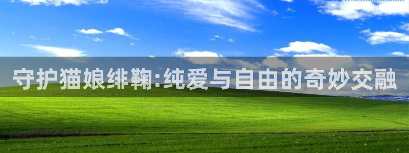 喵趣漫画用不了