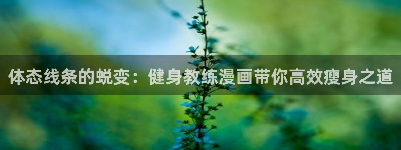喵趣猫粮好不好