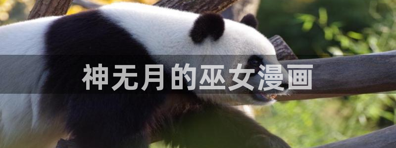 喵趣漫画下载：神无月的巫女漫画