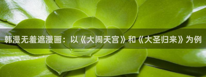 喵趣漫画旧版：韩漫无羞遮漫画：以《大闹天宫》和《大圣归来》为例