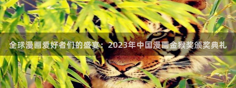 喵趣漫画官网人口：全球漫画爱好者们的盛宴：2023年中国漫画金猴奖颁奖典礼