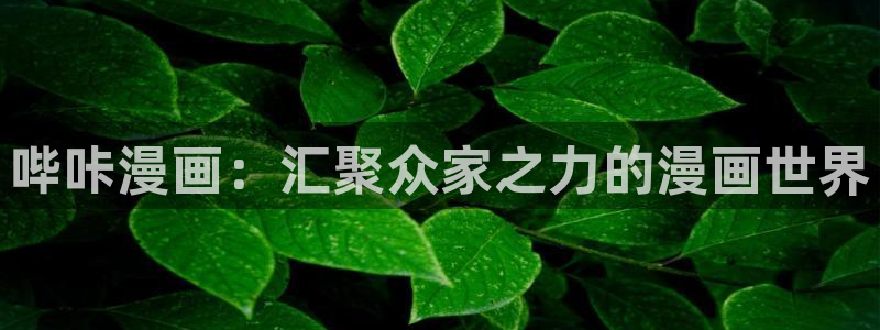 喵趣漫画正版官网：哔咔漫画：汇聚众家之力的漫画世界