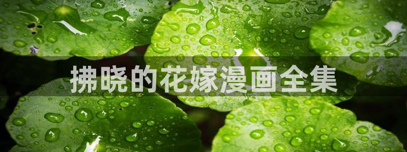 www.喵趣..com：拂晓的花嫁漫画全集