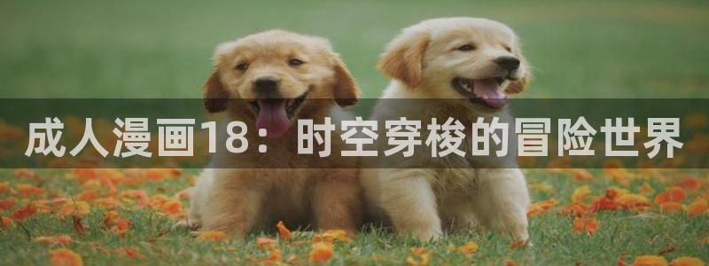 喵趣漫画下载链接正版：成人漫画18：时空穿梭的冒险世界