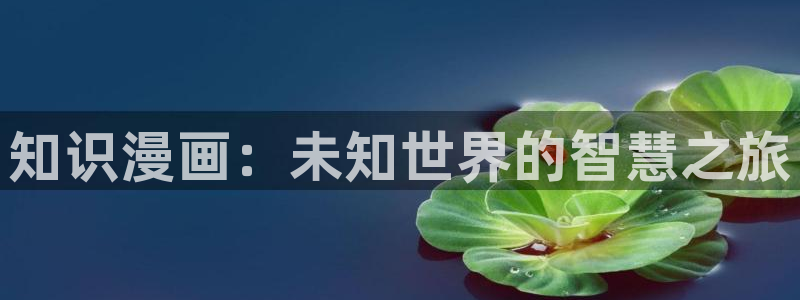 喵趣漫画修好了吗?：知识漫画：未知世界的智慧之旅