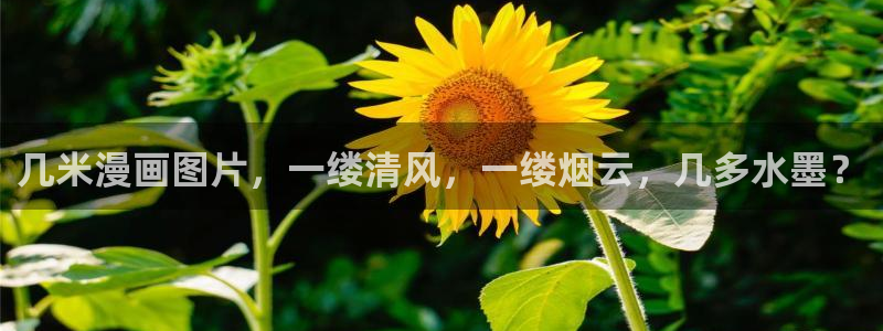 喵趣二次元：几米漫画图片，一缕清风，一缕烟云，几多水墨？