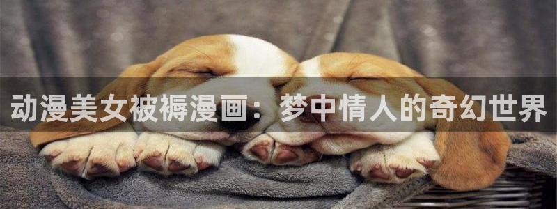 有喵趣
