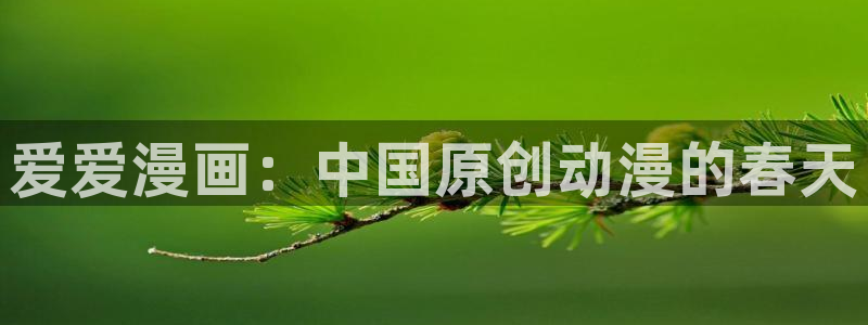 喵趣动漫安装