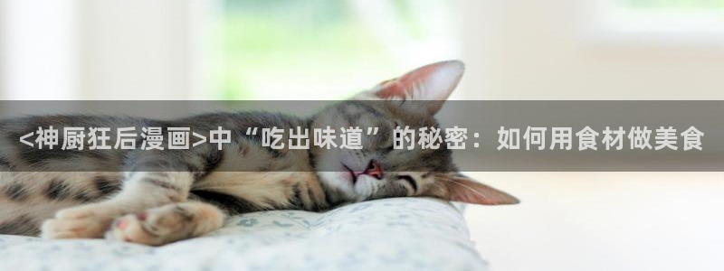 喵趣漫画在线观看