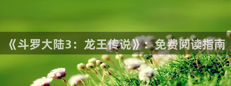 喵趣动漫安装