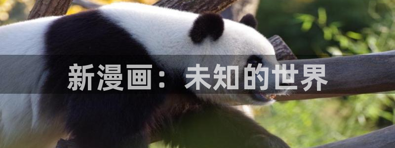 www.喵趣.top.