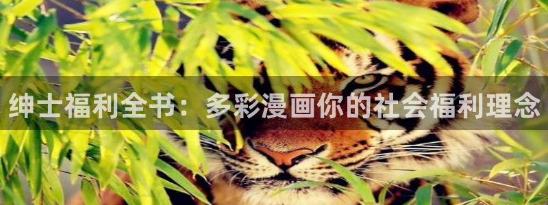 喵趣漫画复活了?