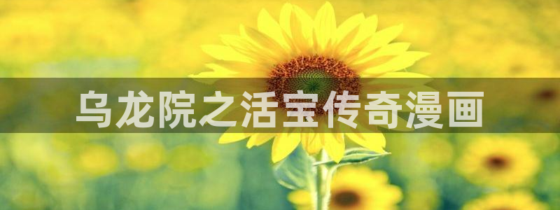 喵趣动画