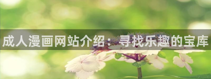 喵趣吧
