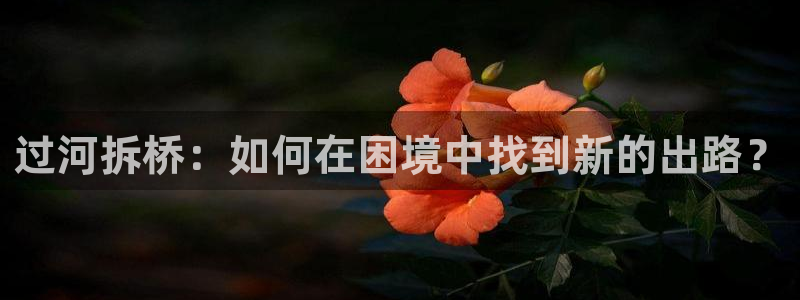 喵趣漫画免费吗：过河拆桥：如何在困境中找到新的出路？
